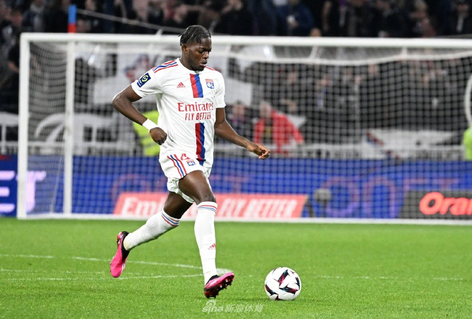 行高规格训 行高规格训