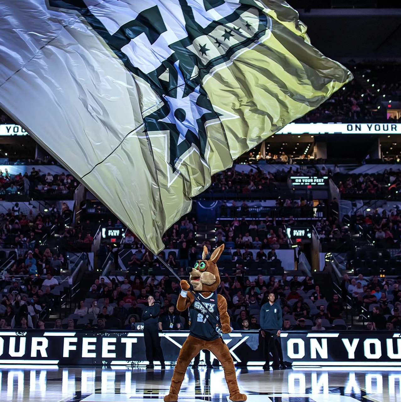 球为她赢得 球为她赢得